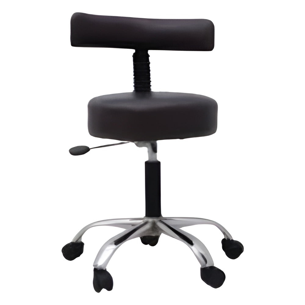 Medical Stool with Backrest